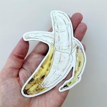 Critter Co. - BIG BANANA Magnet