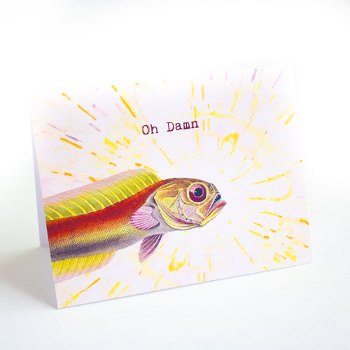 oh damn -fish card