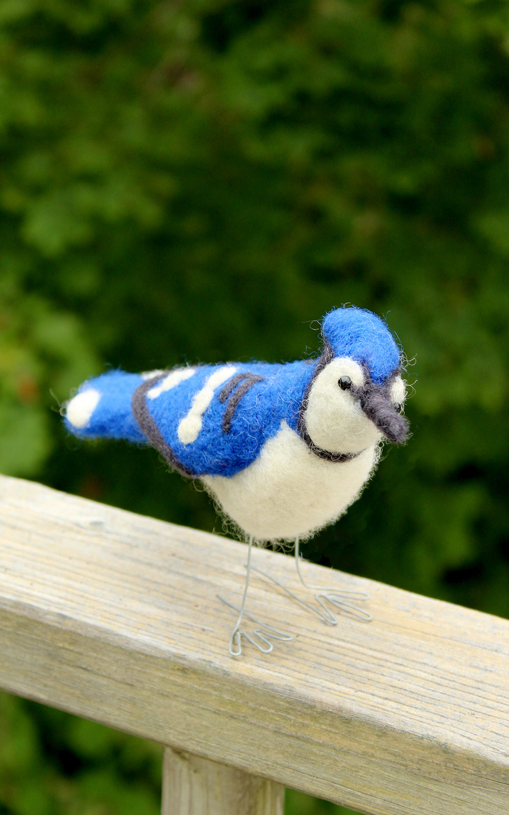 Lunenburg Makery - BLUE JAY Needle Felting Kit