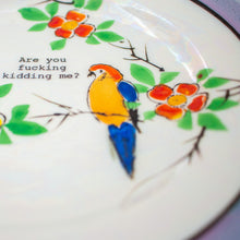 are you fucking kidding me? - decorative plate