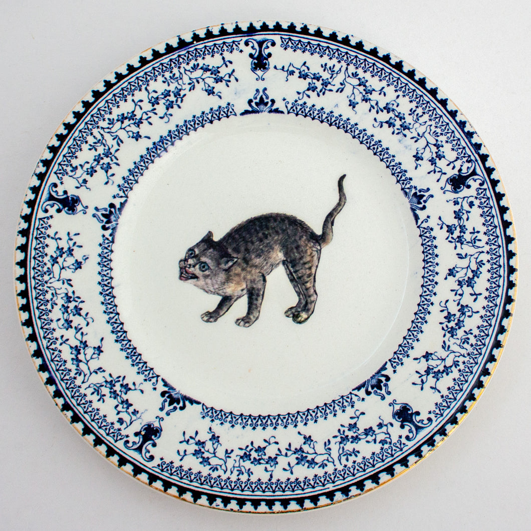 medieval scaredy-cat - decorative plate