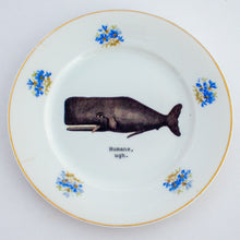 humans, ugh. - decorative plate with whale