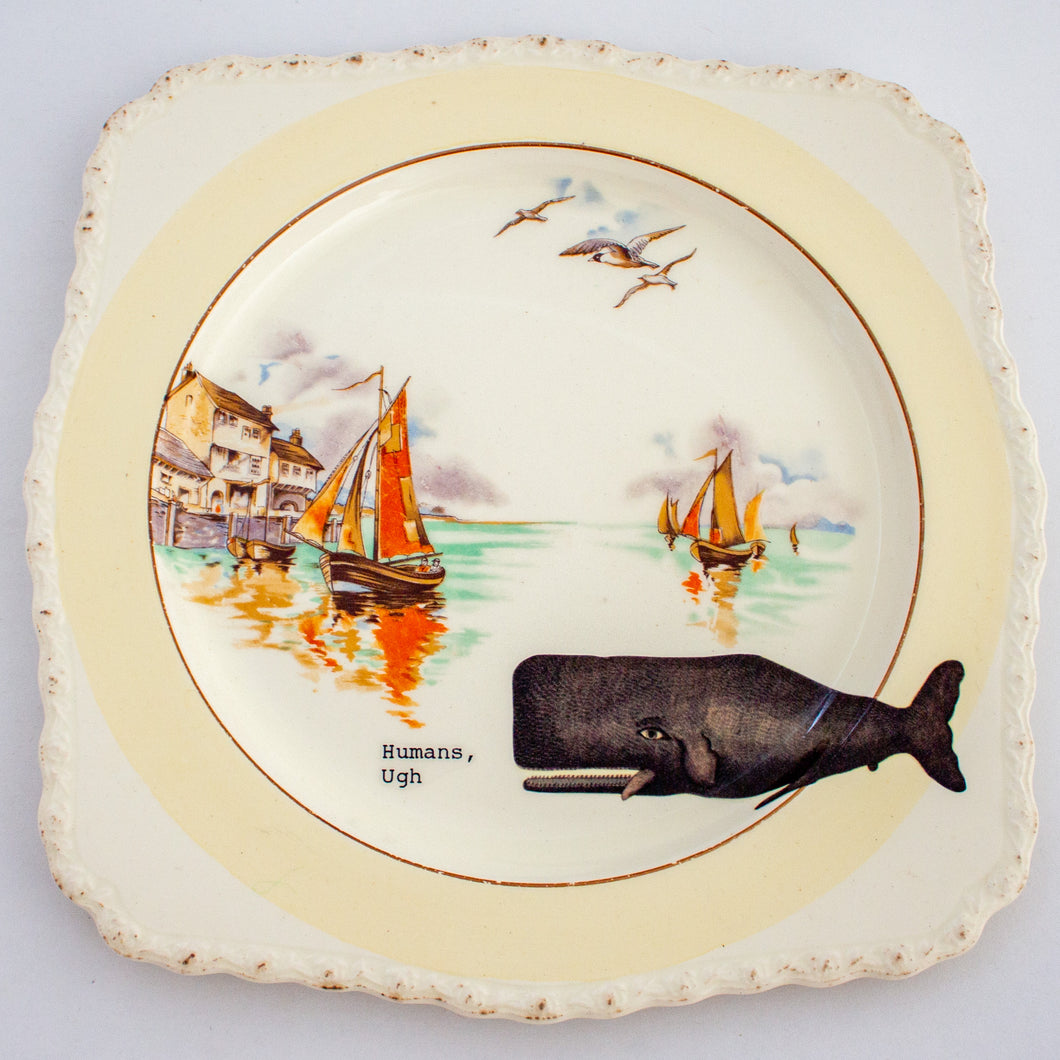 humans, ugh. - decorative plate with whale