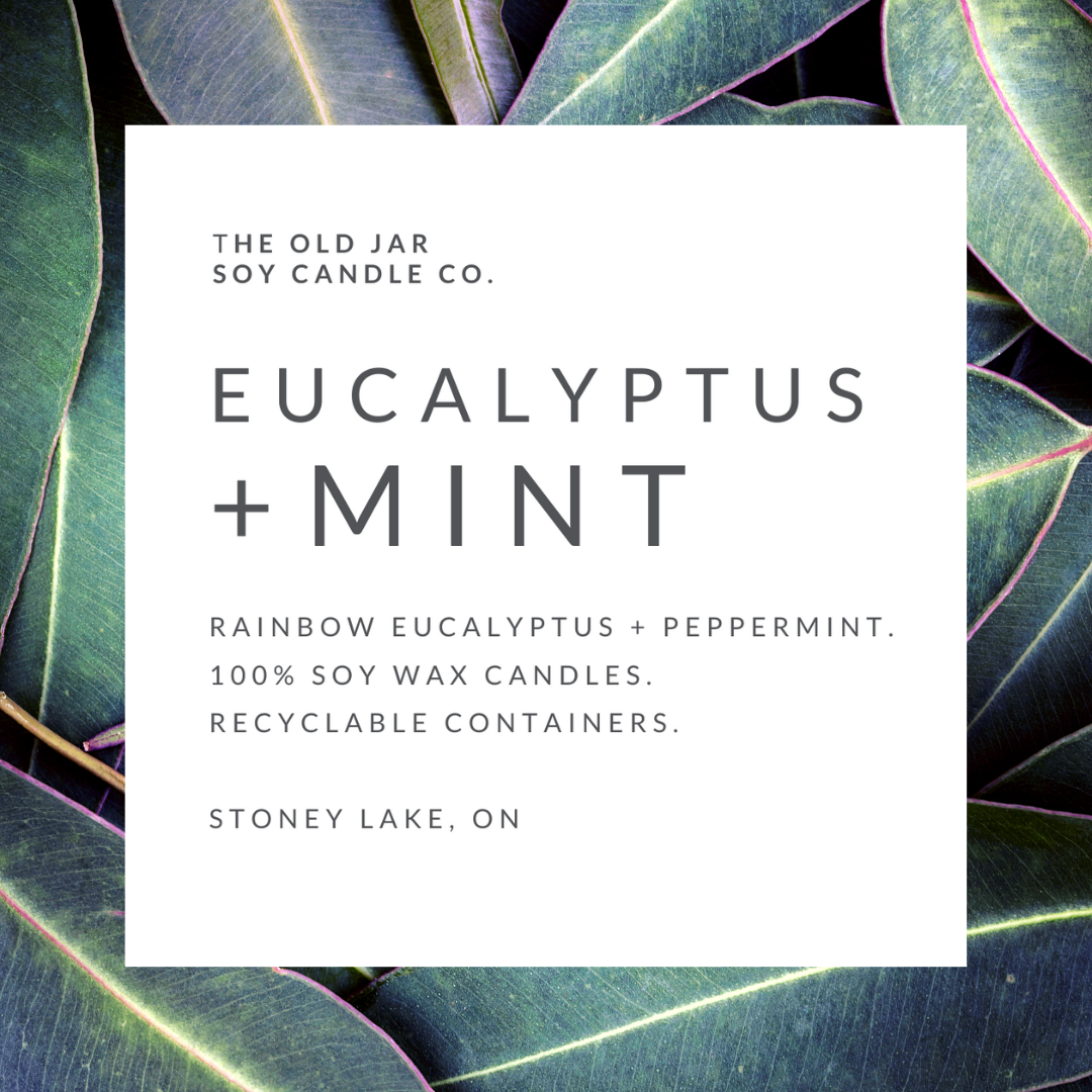 Old Jar Candle Co. - EUCALYPTUS + MINT Soy Candle