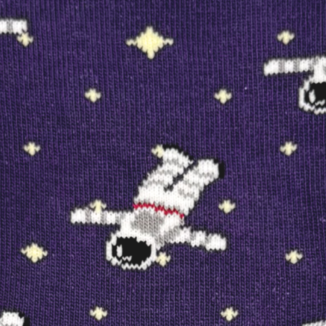 Friday Sock Co. - Women's Astronaut & Earth Crew Socks