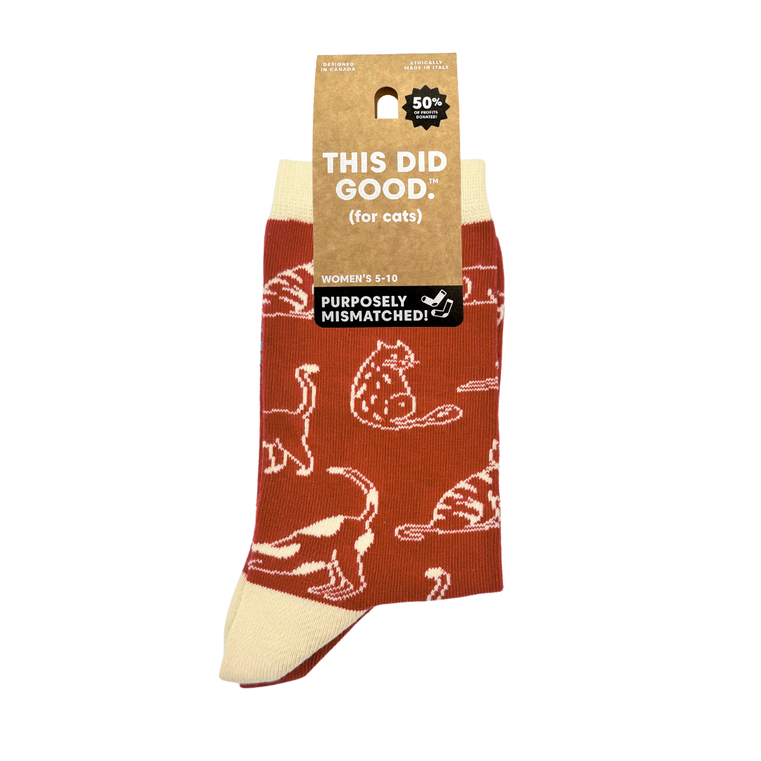Friday Sock Co. - Women's Cats This Did Good Mismatched Crew Socks