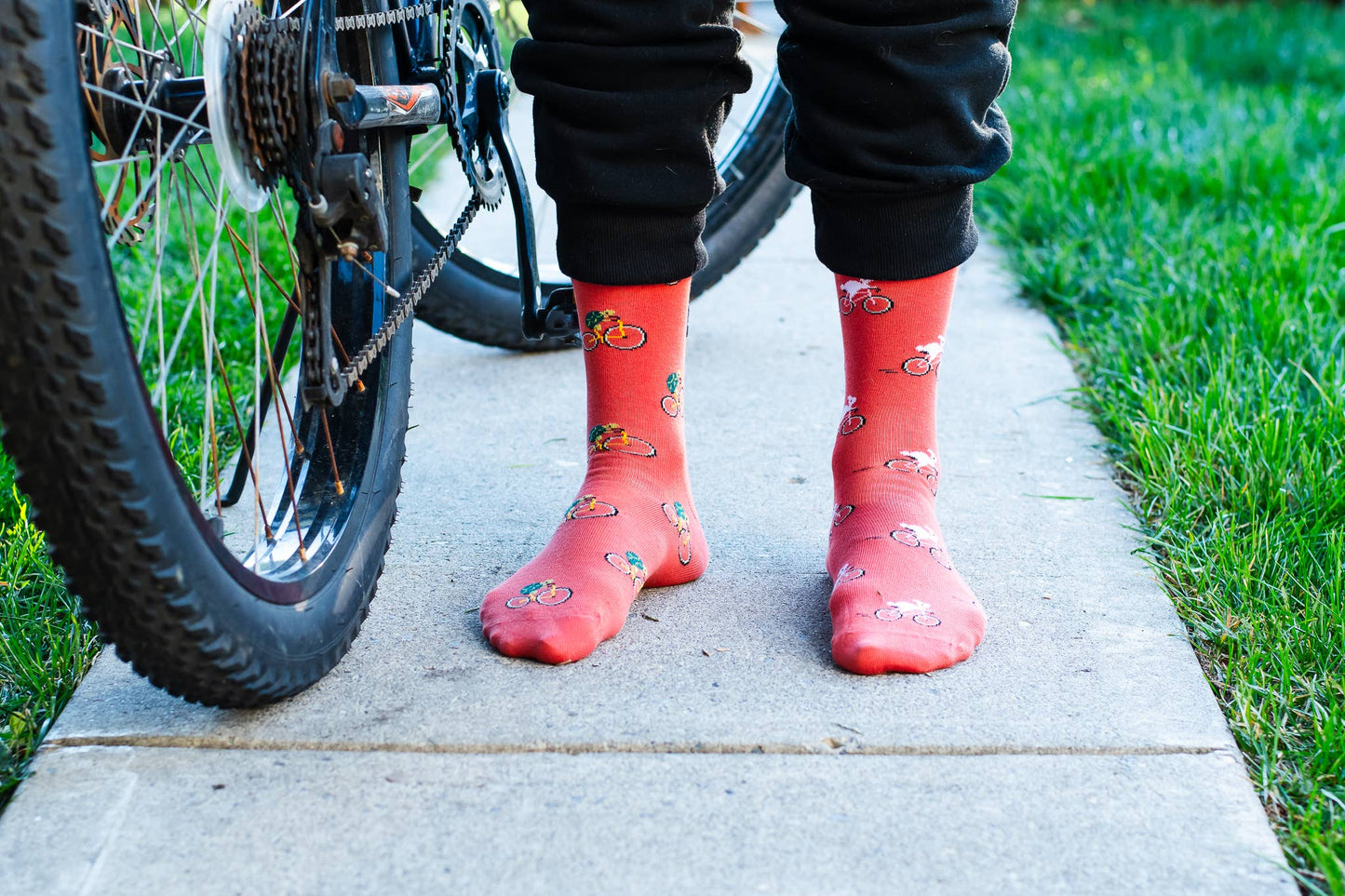 Friday Sock Co. - Women's Turtle & Bunny Socks