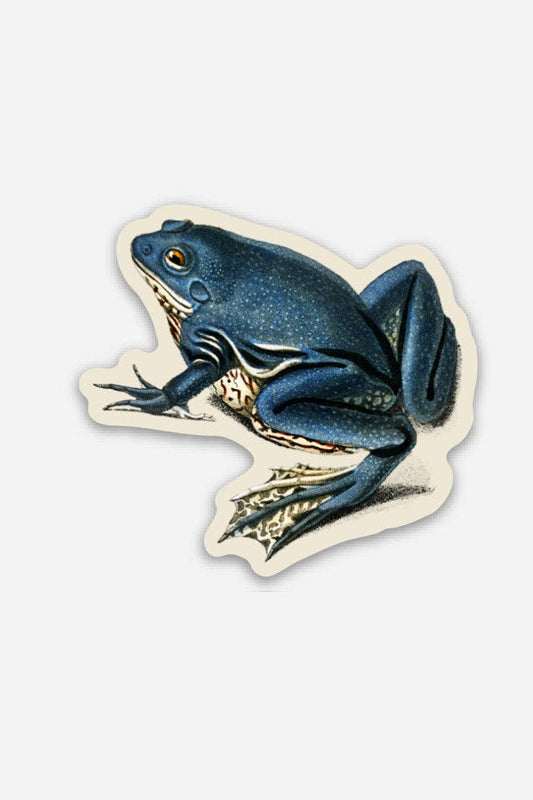 Stay Home Club - EXASPERATED FROG Gap Filler Sticker
