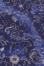 Kiriki Press - STAR MAP Embroidery Kit (11" Hoop)