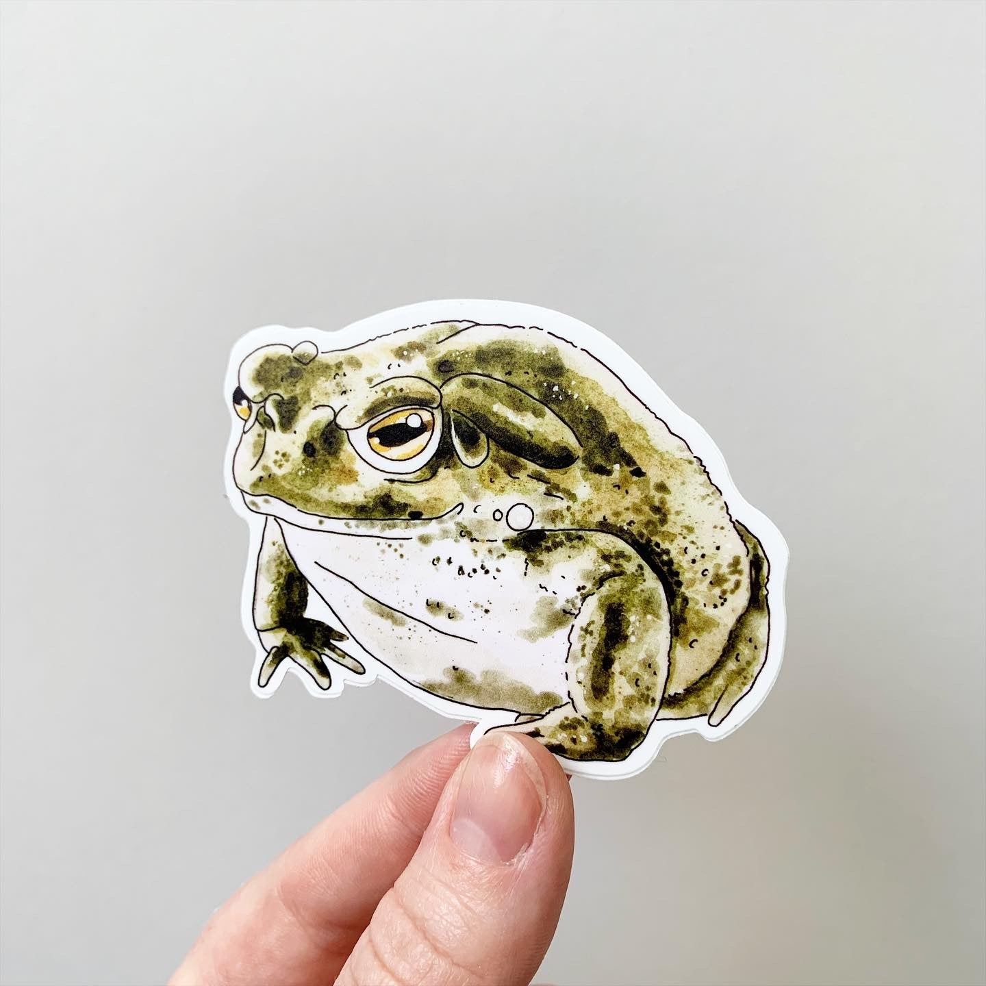 Critter Co. - TOAD Sticker