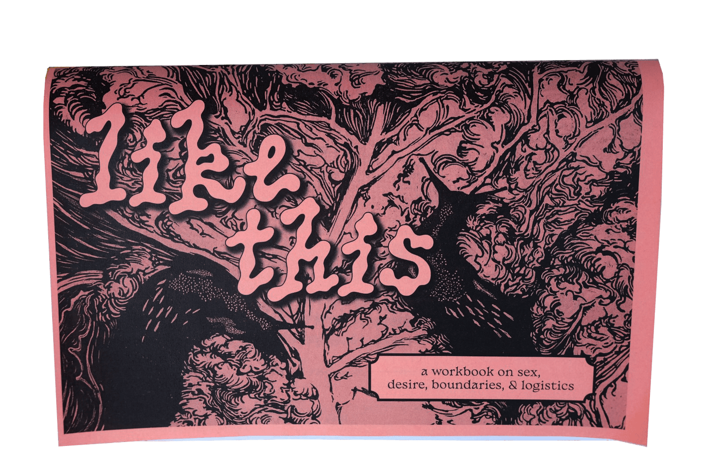 Sheer Spite Press - LIKE THIS Zine