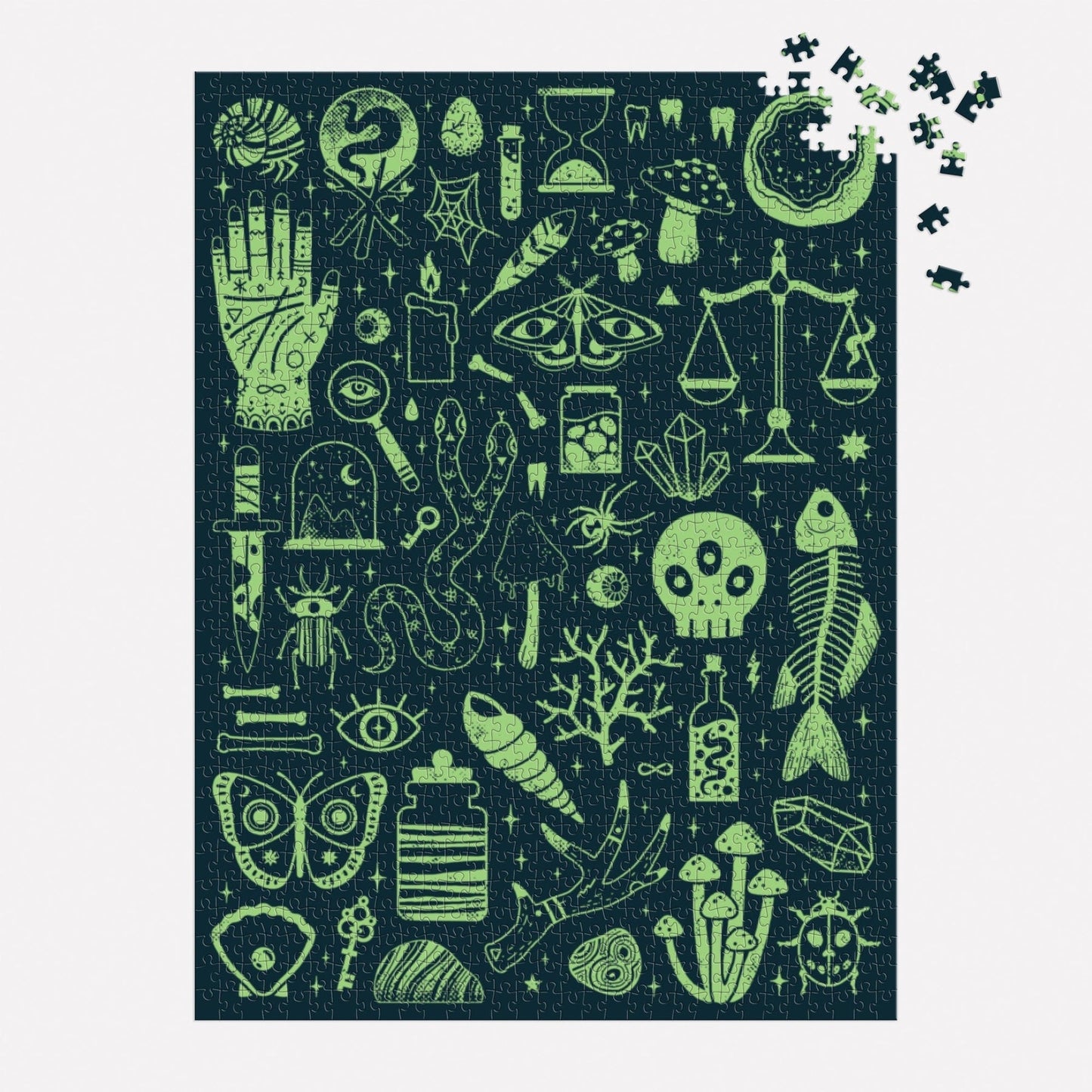 Galison - OCCULT & CURIOUS Puzzle (1000-Pieces)