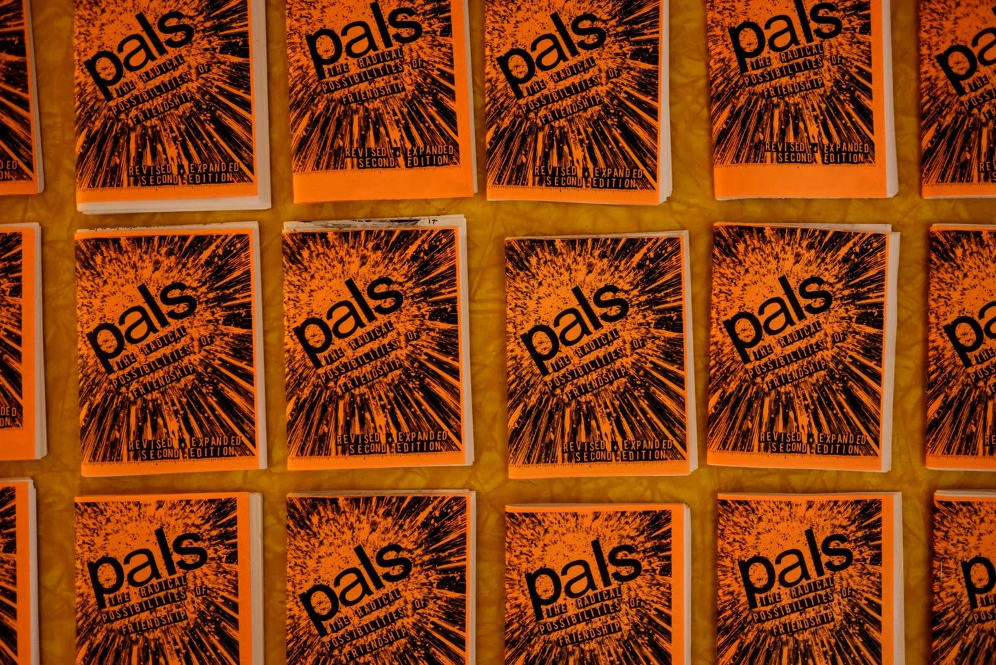 Sheer Spite Press - PALS: THE RADICAL POSSIBILITIES OF FRIENDSHIP Zine