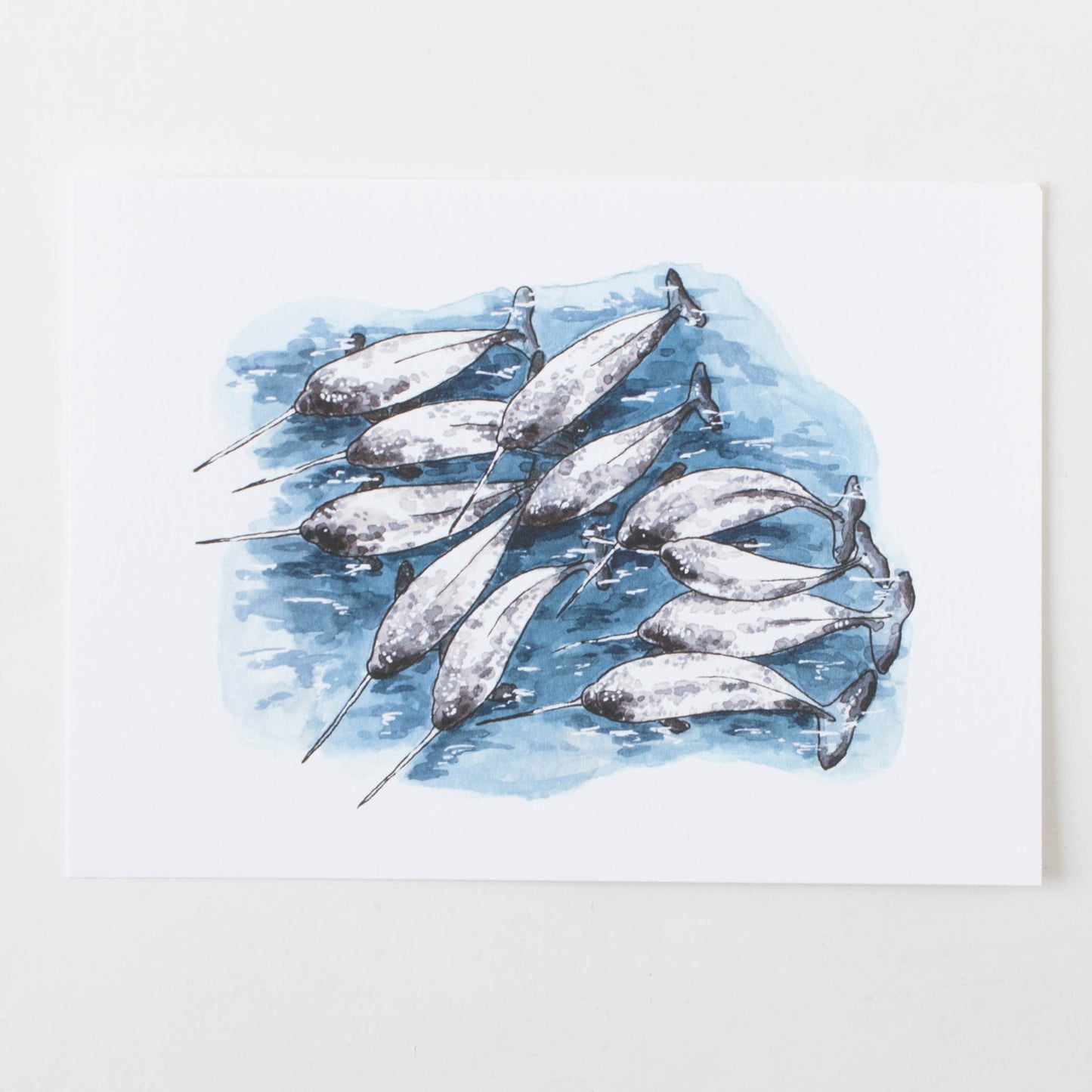 Critter Co. - POD OF NARWHALES Print (5" X 7")