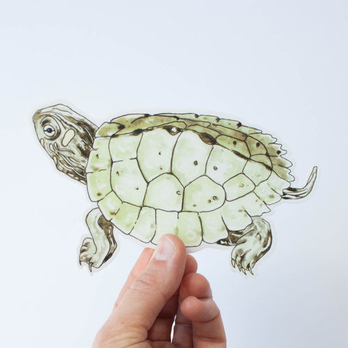 false map turtle sticker