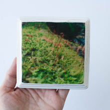 wooden photo block 4"x4" white frame