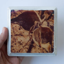 wooden photo block 4"x4" white frame