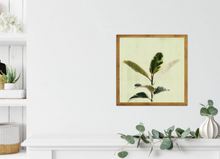 Ficus print - two sizes