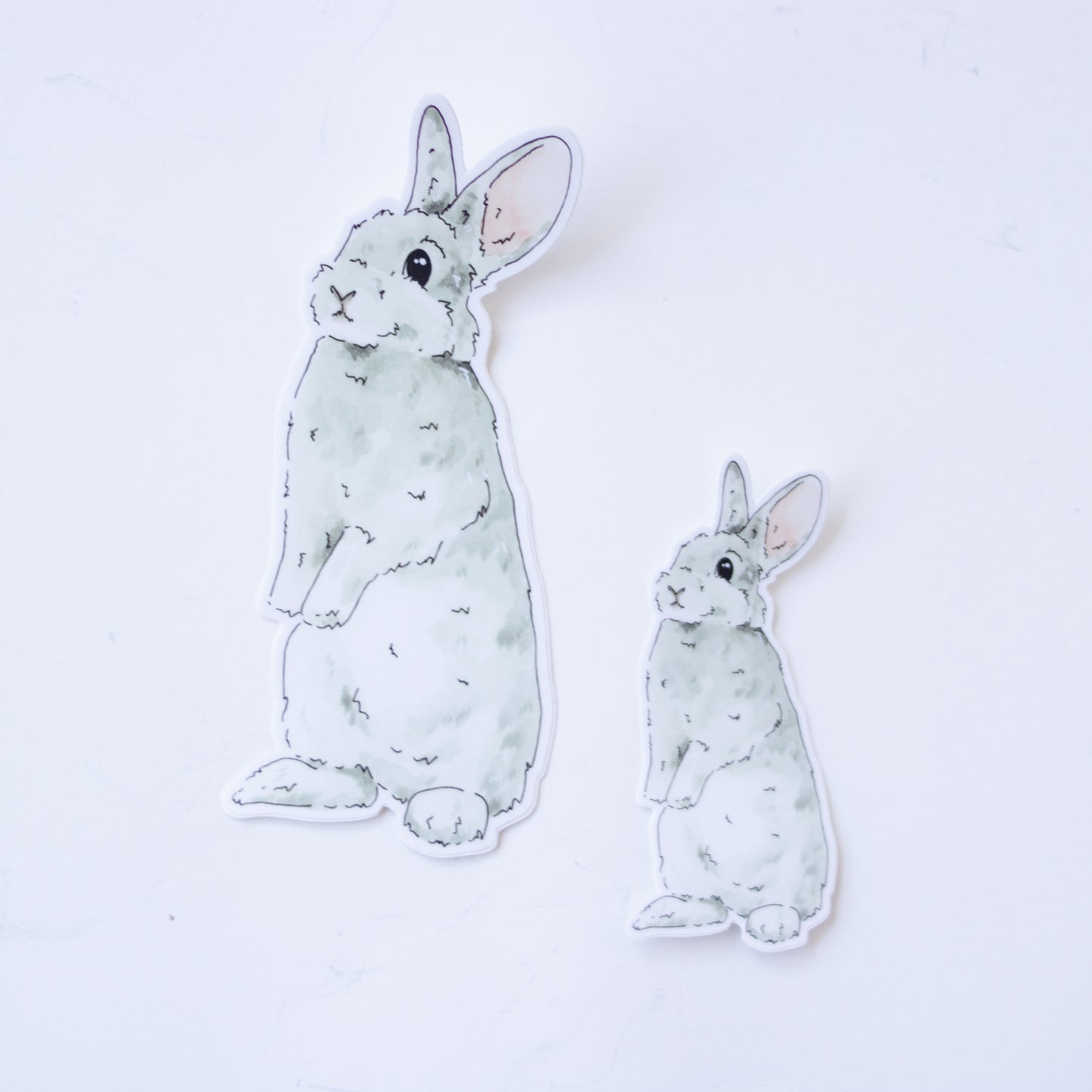 Critter Co. - BUNNY Sticker