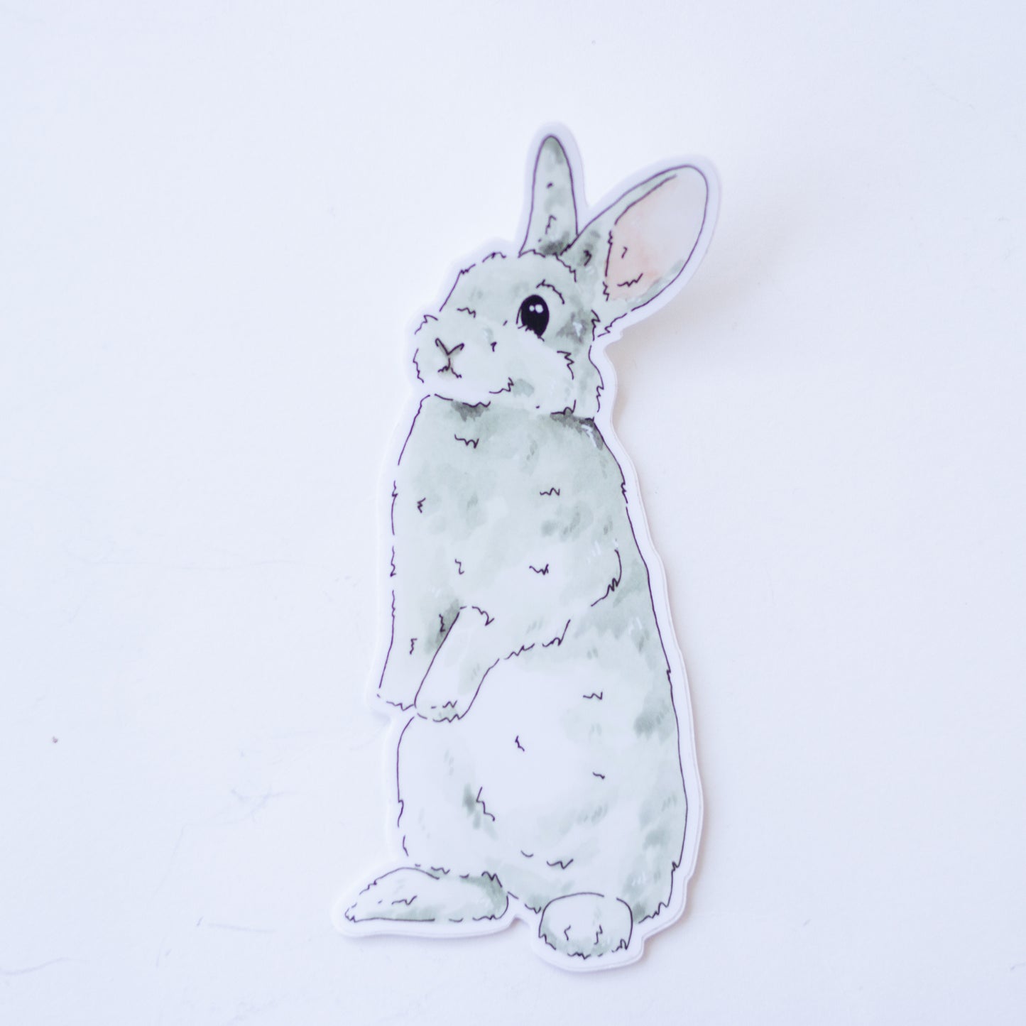 Critter Co. - BUNNY Sticker