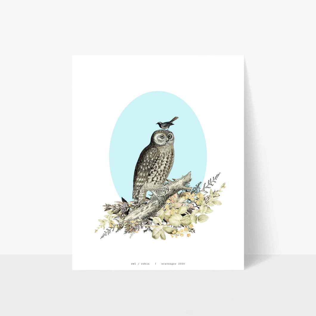 Owl, Robin (11x14)