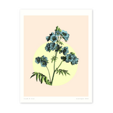 Blush & Blue Floral (8x10)