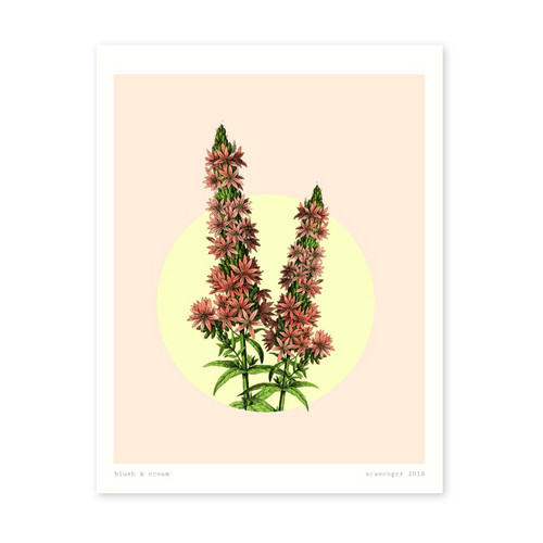 Blush & Cream Floral (8x10)