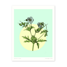 Butter & Vine Floral (8x10)