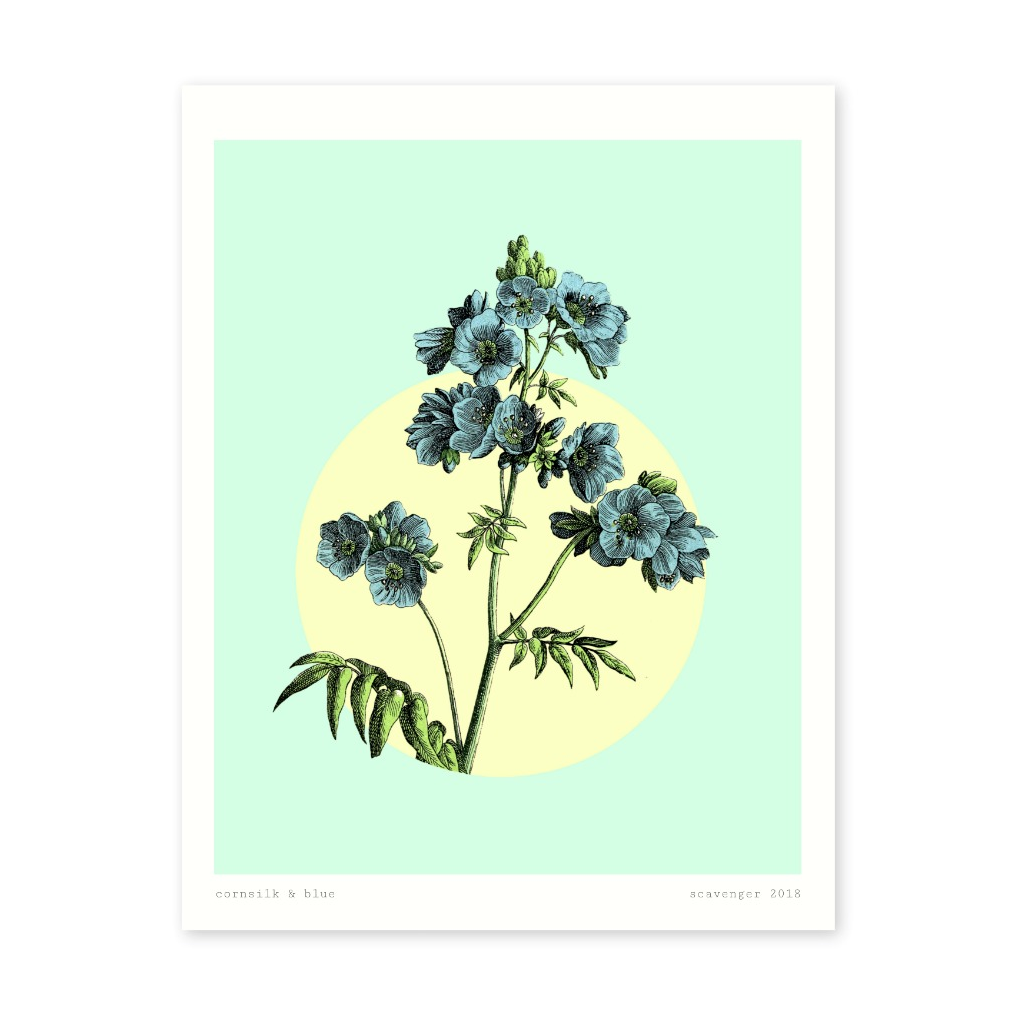 Cornsilk & Blue Floral (8x10)