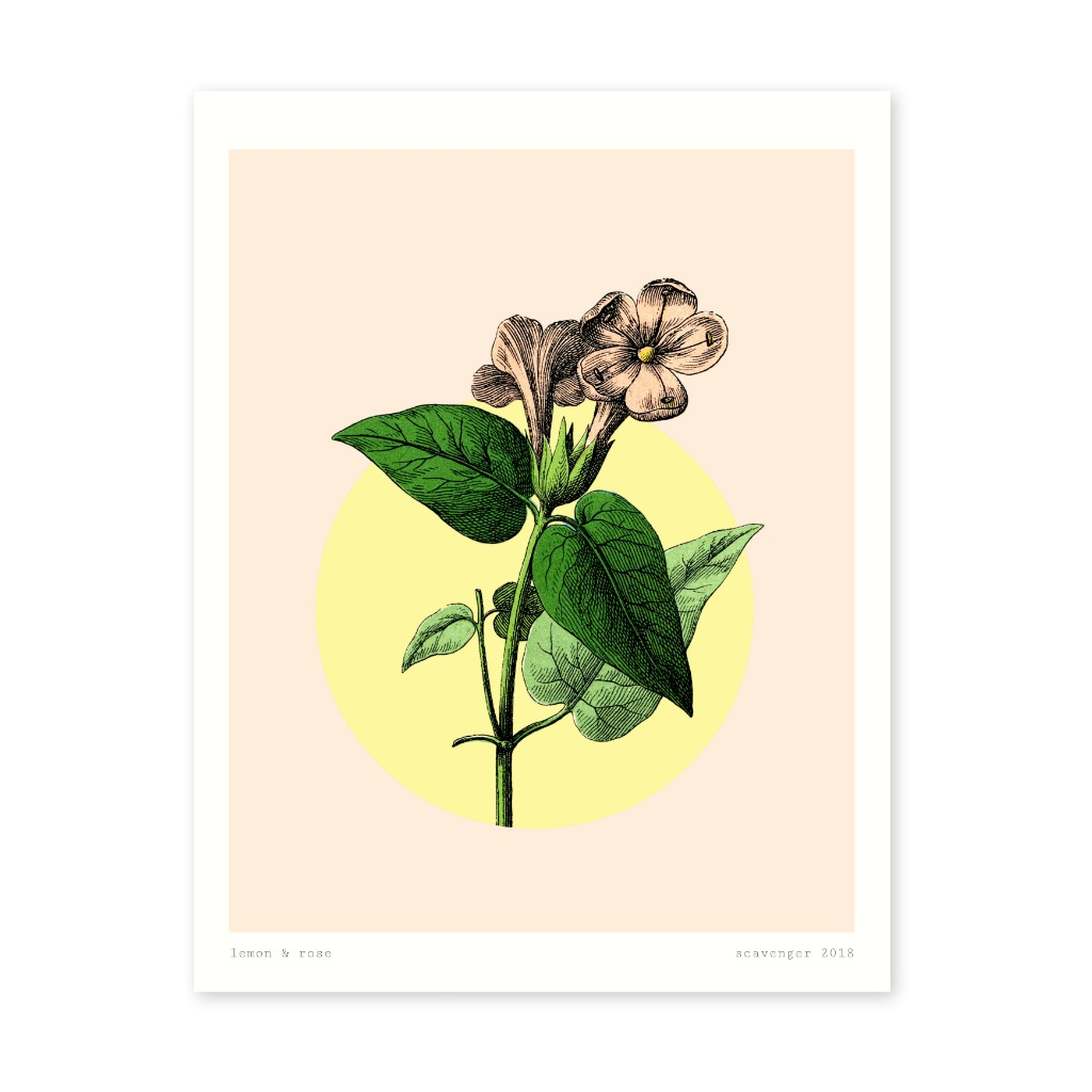 lemon & rose floral print 8x10