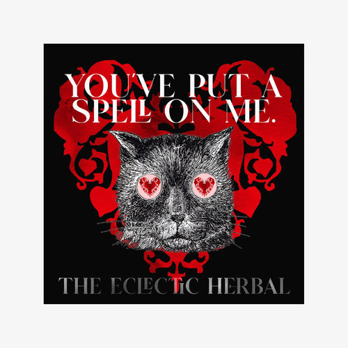 you've put a spell on me - greeting card